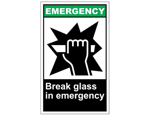 ANSI Emergency Break Glass In Emergency