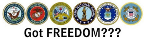 Got Freedom - Bumper Sticker