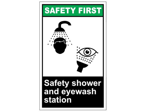 ANSI Safety First Safety Shower And Eyewash Station
