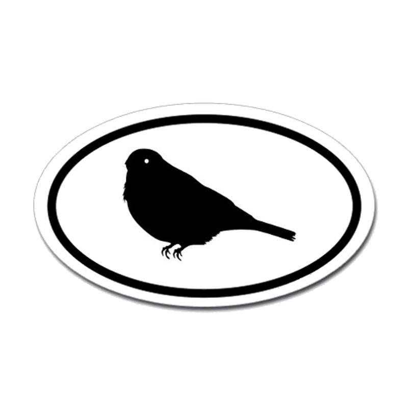 Bird Oval