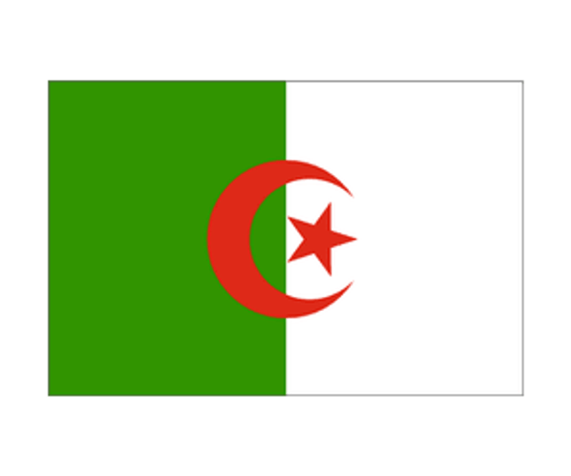 Algerian Flag Decal