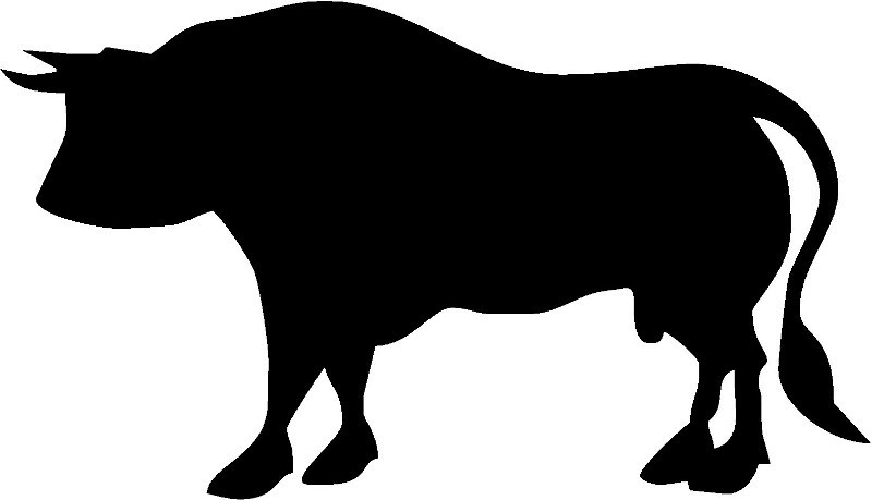 Rodeo Bull Decal