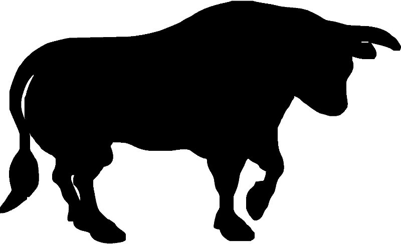 Rodeo Bull Decal