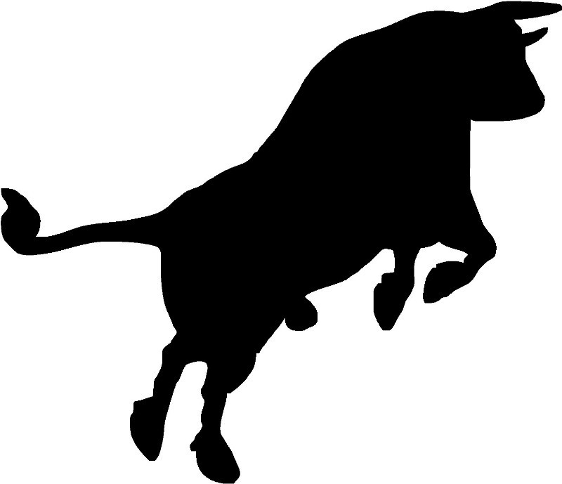 Rodeo Bull Decal