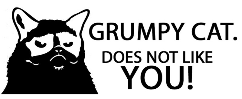 Grumpy Cat Does Not Like You Decal