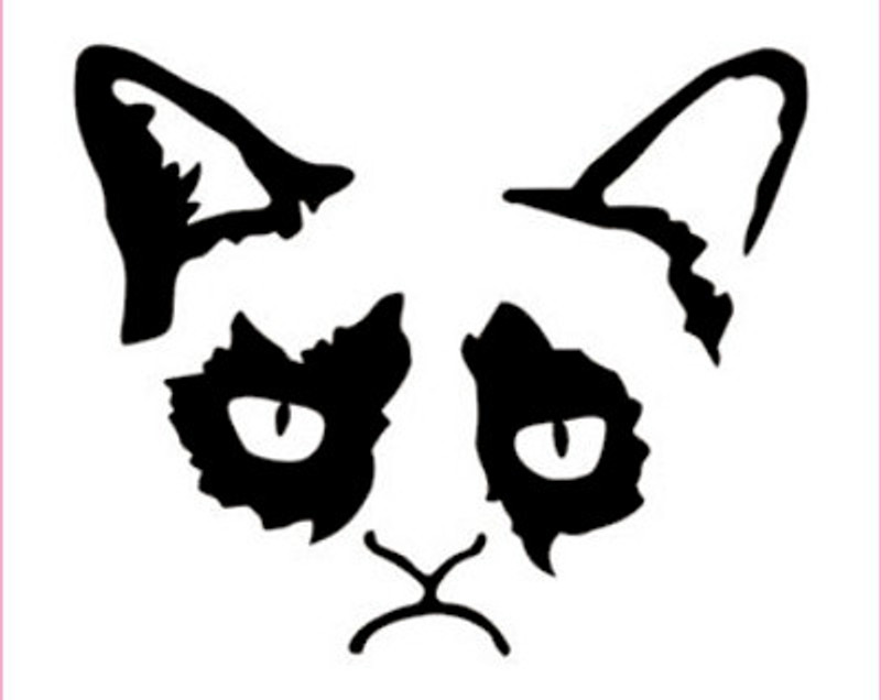 Grumpy Cat Decal