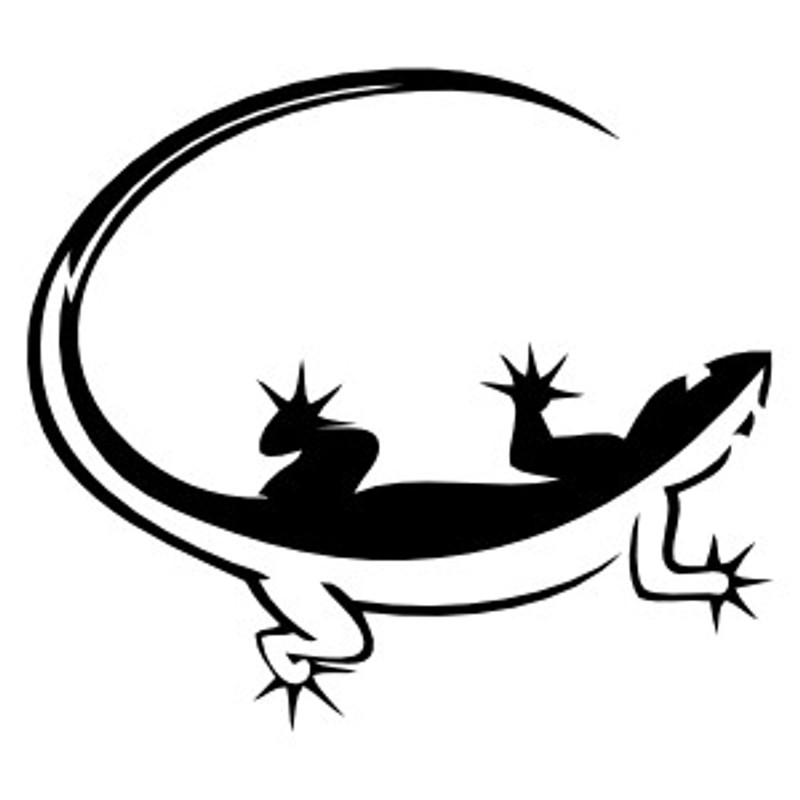 Salamander Decal