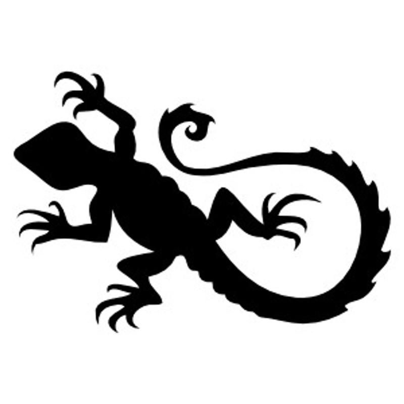 Salamander Decal