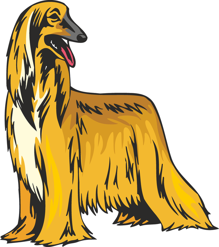 Afghan Hound Dog Sticker