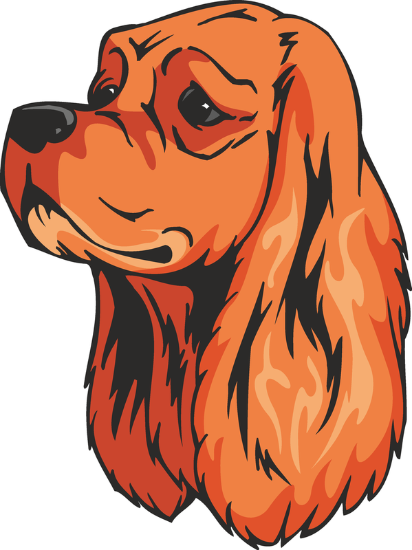 American Cocker Spaniel Dog Sticker