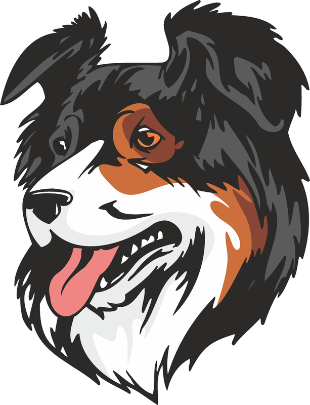 Australian Shepherd Dog Sticker