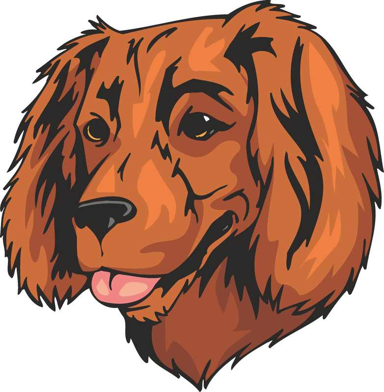 Boykin Spaniel Dog Sticker