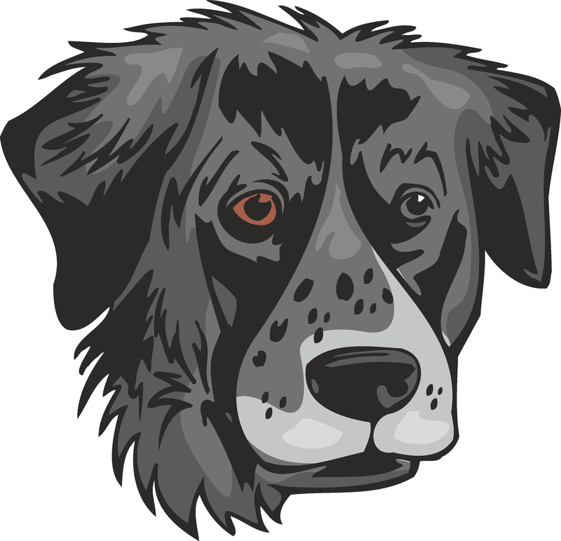 Large Munsterlander Dog Sticker