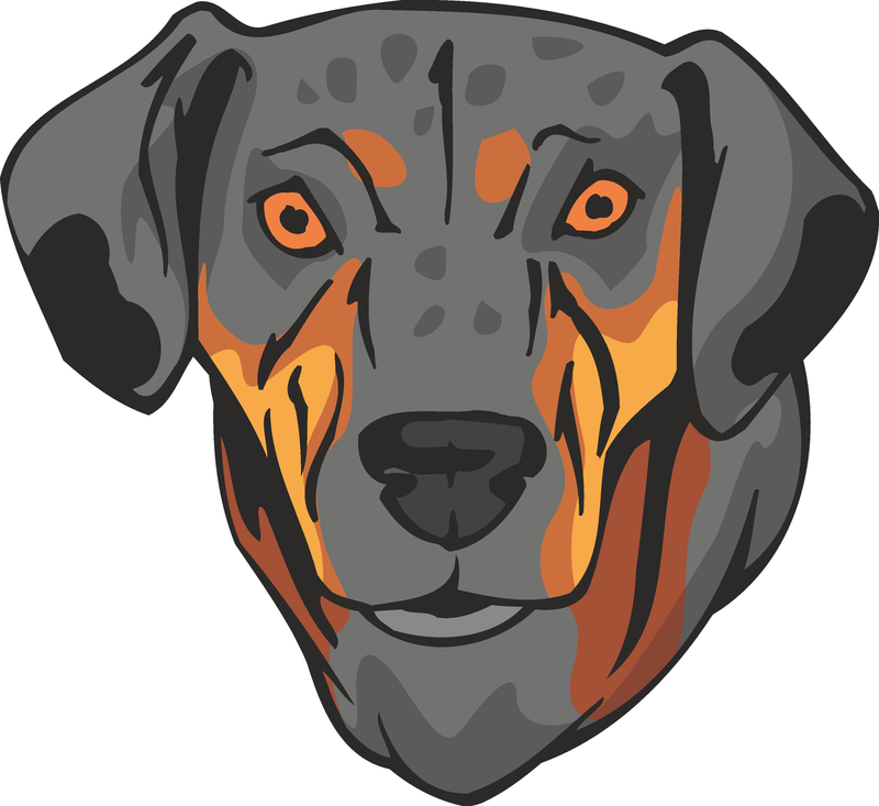 Catahoula Cur Dog Sticker