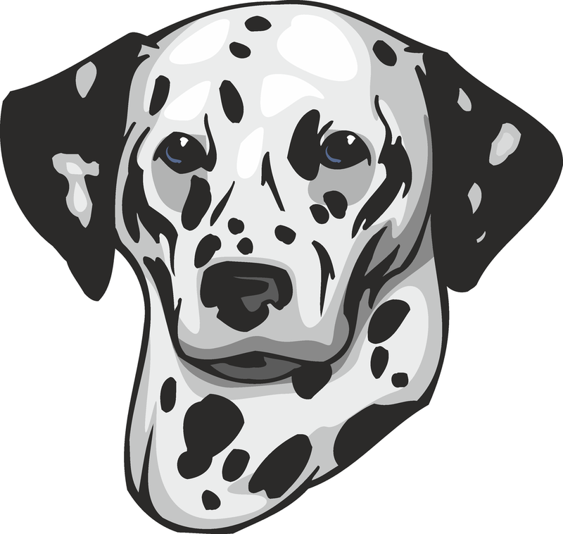 Dalmatian Dog Sticker