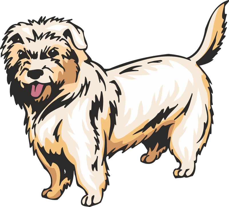 Dutch Smoushond Dog Sticker