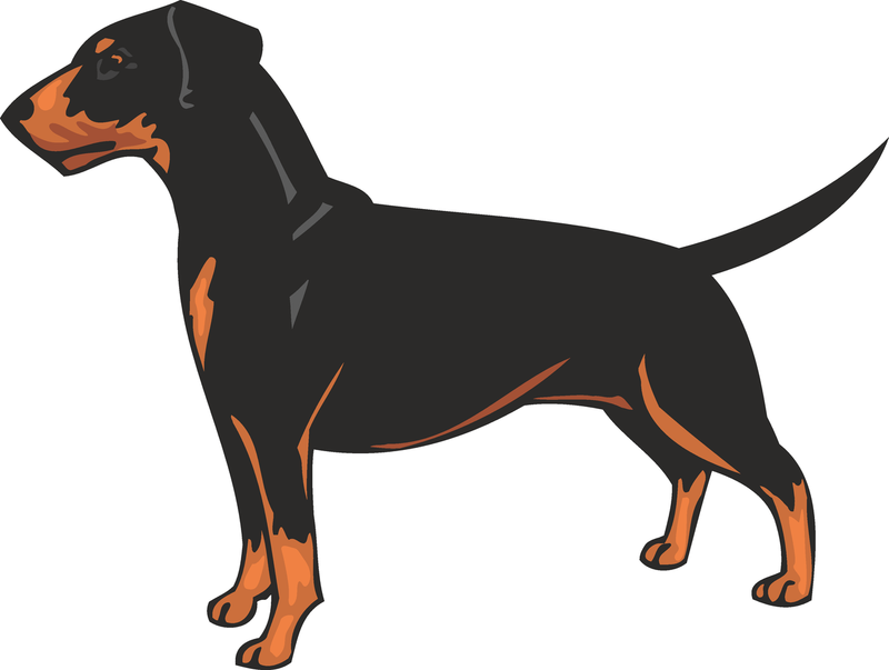 German Pinscher Dog Sticker