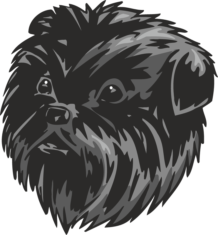 Affenpinscher Dog Sticker