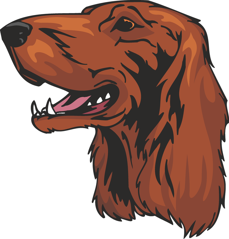 Irish Setter Dog Sticker