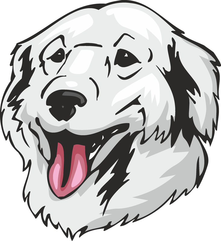 Kuvasz Dog Sticker