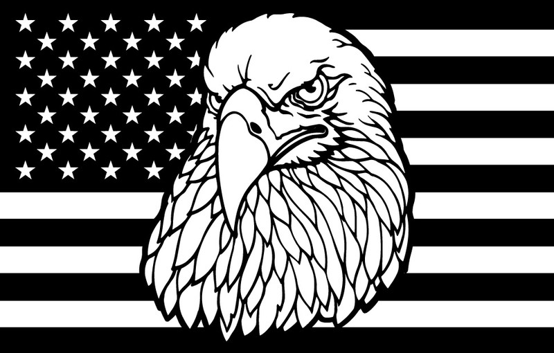 American Eagle on American Flag Decal