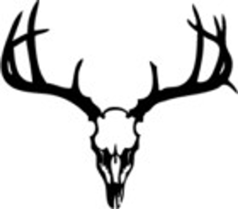 Deer Rack Skull Decal