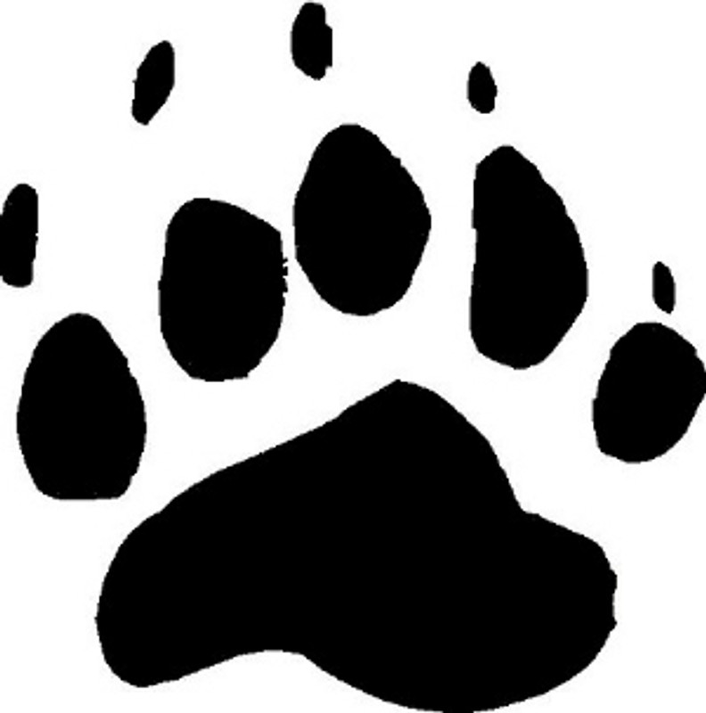 Black Bear Animal Track Decal