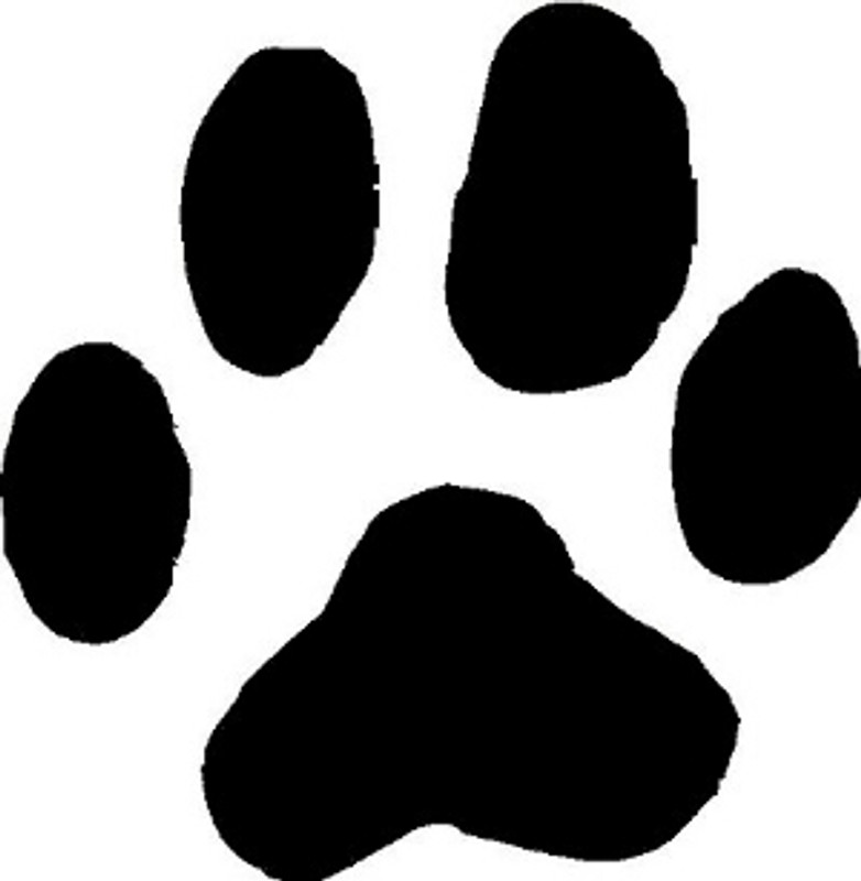 Cougar Animal Track Decal