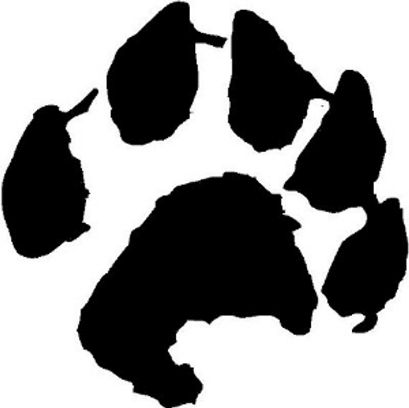 Otter Animal Track Decal