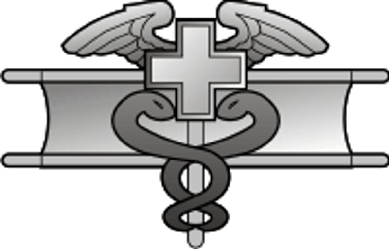 USA Expert Field Medical Badge