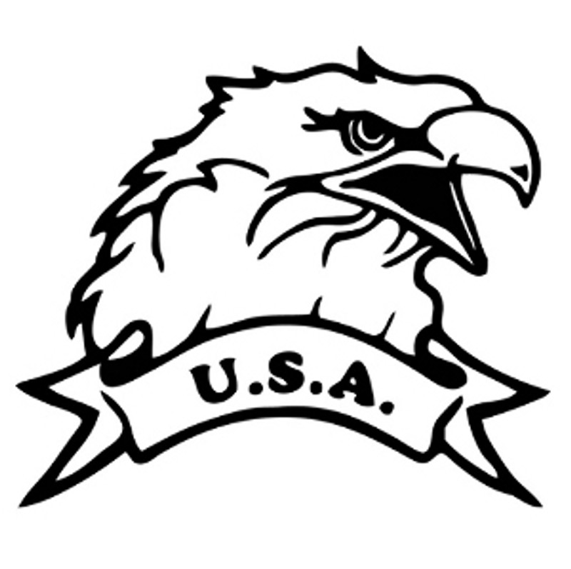 U.S.A. Bald Eagle Design