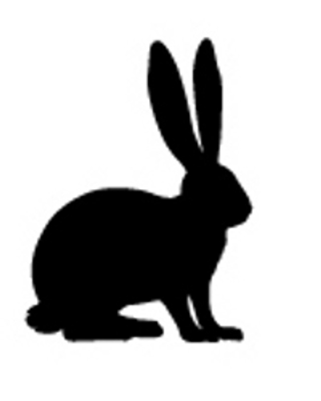 Wild Rabbit Decal