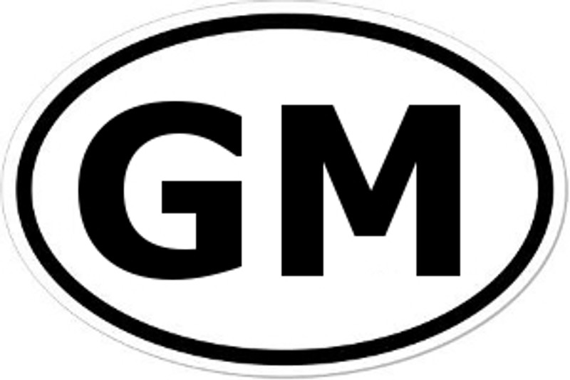 GM Oval Bumper Sticker