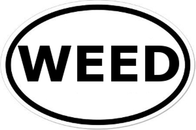 WEED Oval Bumper Sticker