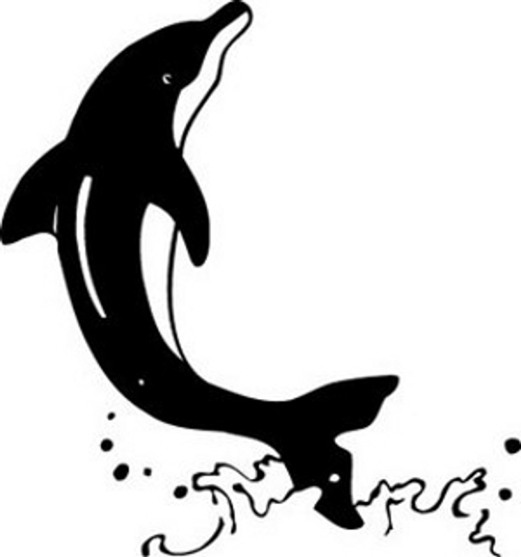 Jumping Dolphin Decal