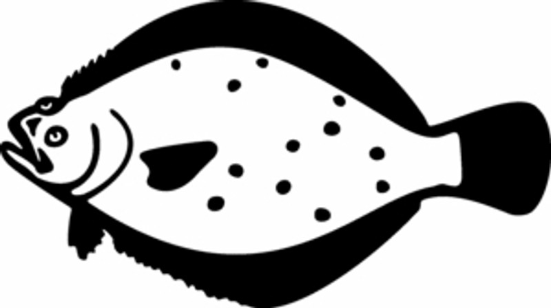 Flounder Decal