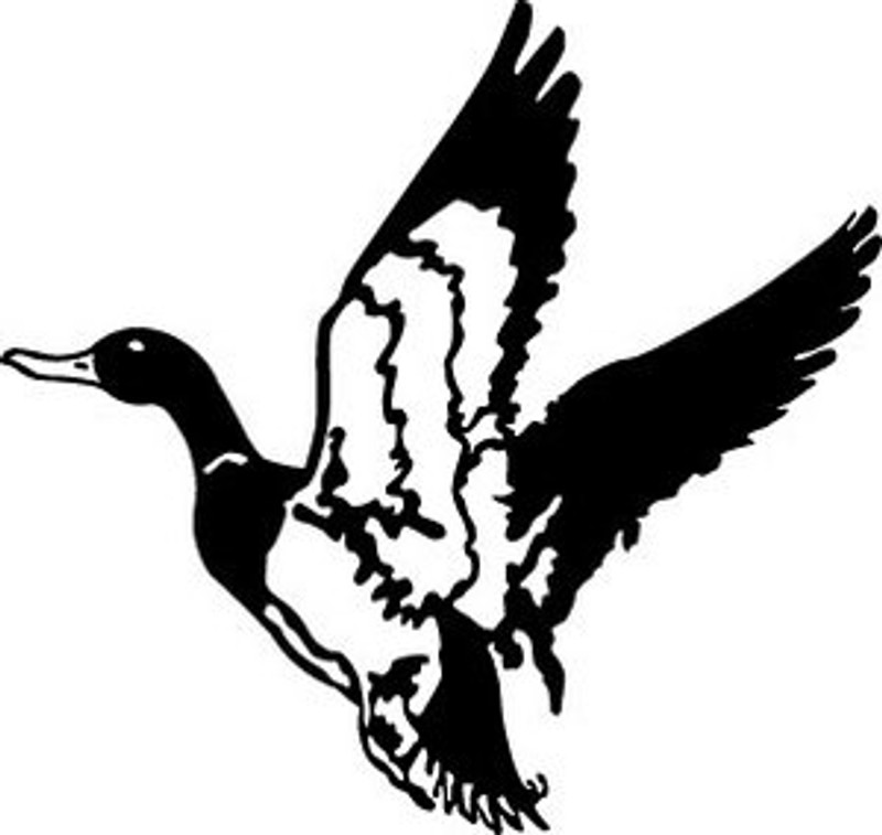 Flying Duck Decal