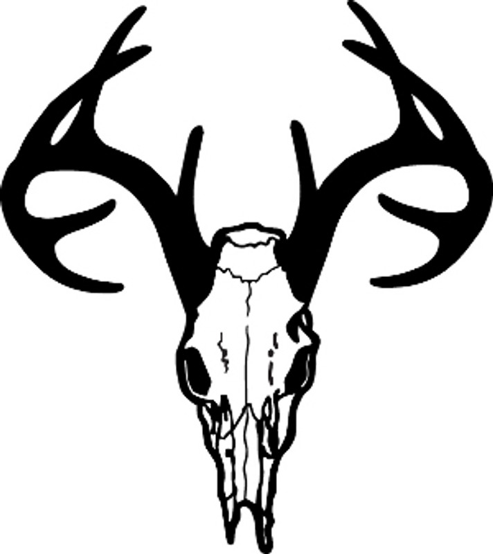 Buck Hunting Skull With Rack Decal