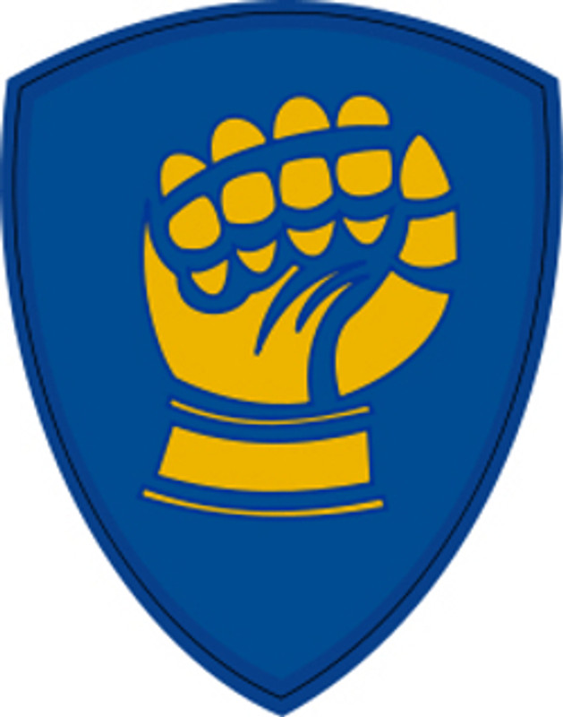 USA 46th Infantry Division