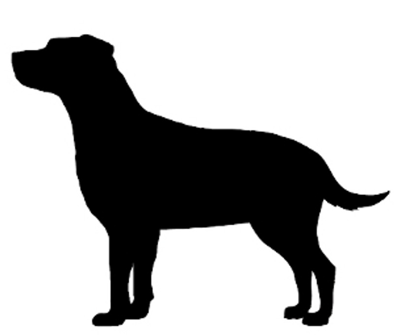 Labrador Retriever Decal #2