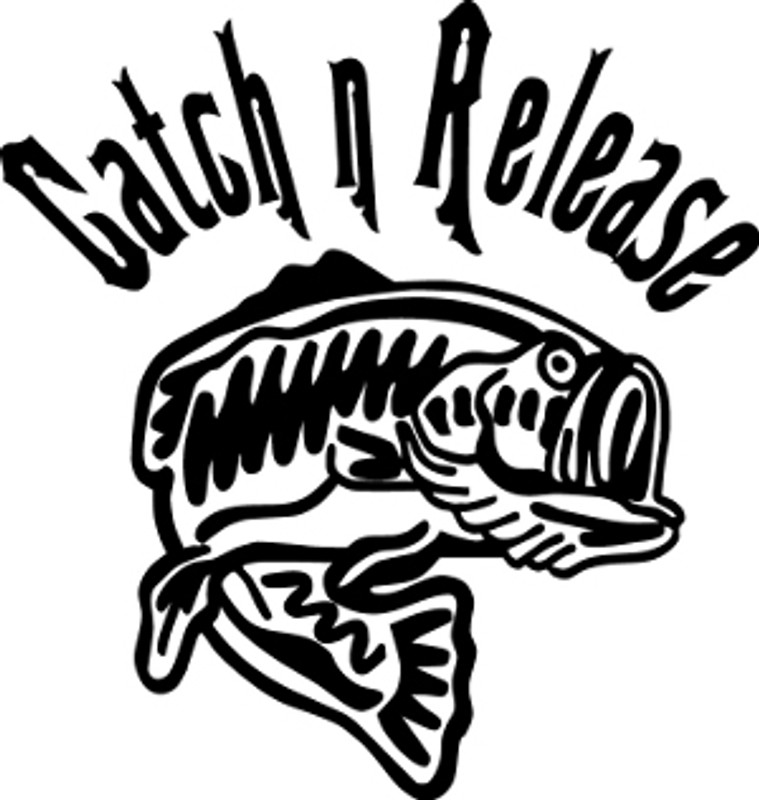 Catch N Release Fishing Decal #1