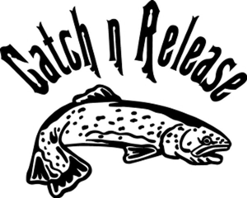 Catch N Release Fishing Decal #4