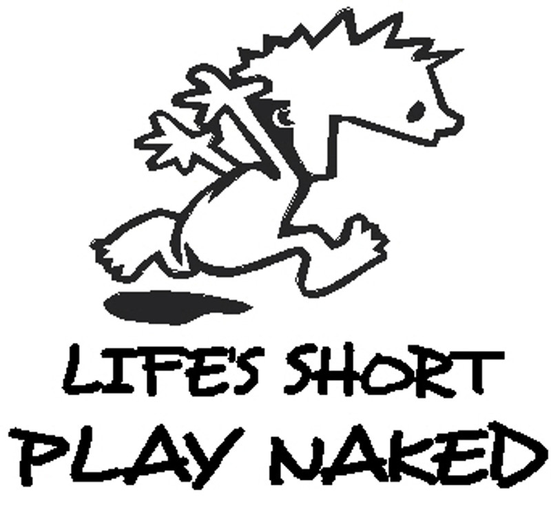 Life's Short Play Naked Decal