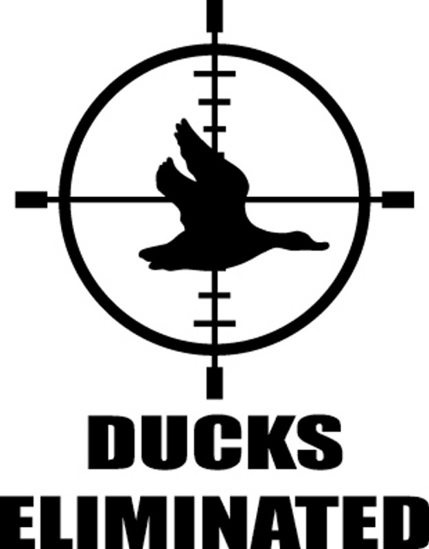 Ducks Eliminated Decal