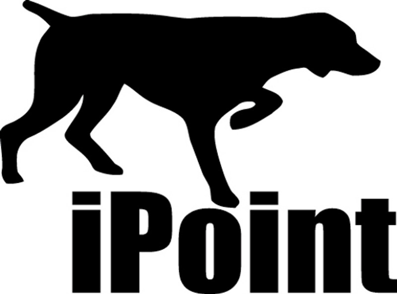 iPoint Decal