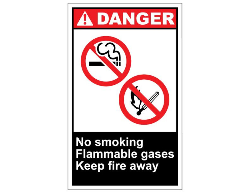 ANSI Danger No Smoking Flammable Gases Keep Fire Away