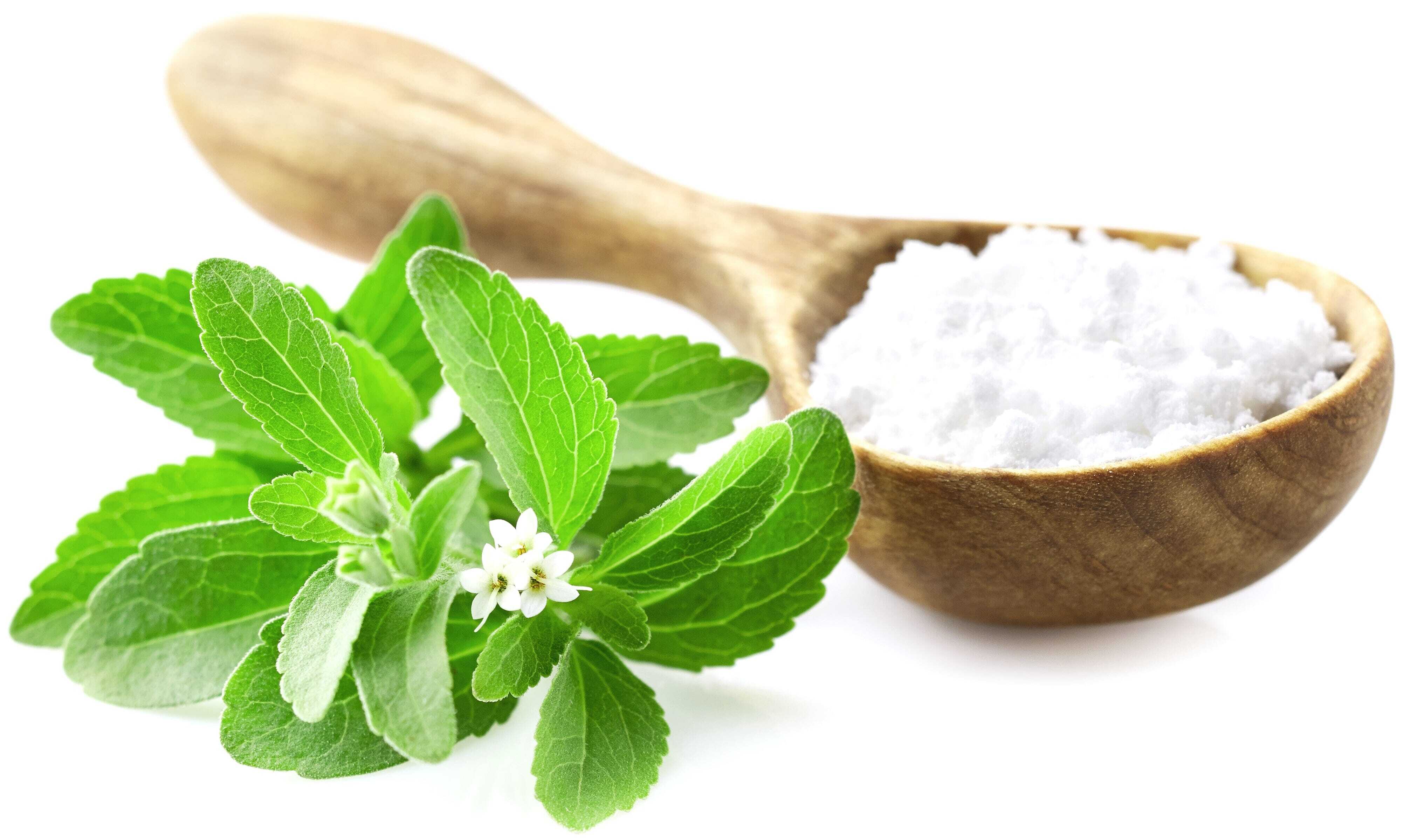 Stevia