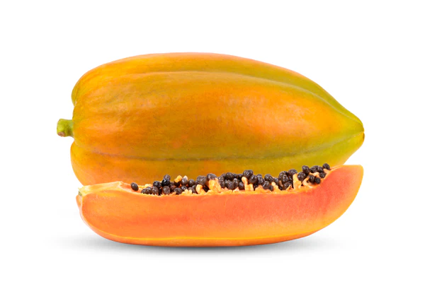 Lion's Mane Mushroom