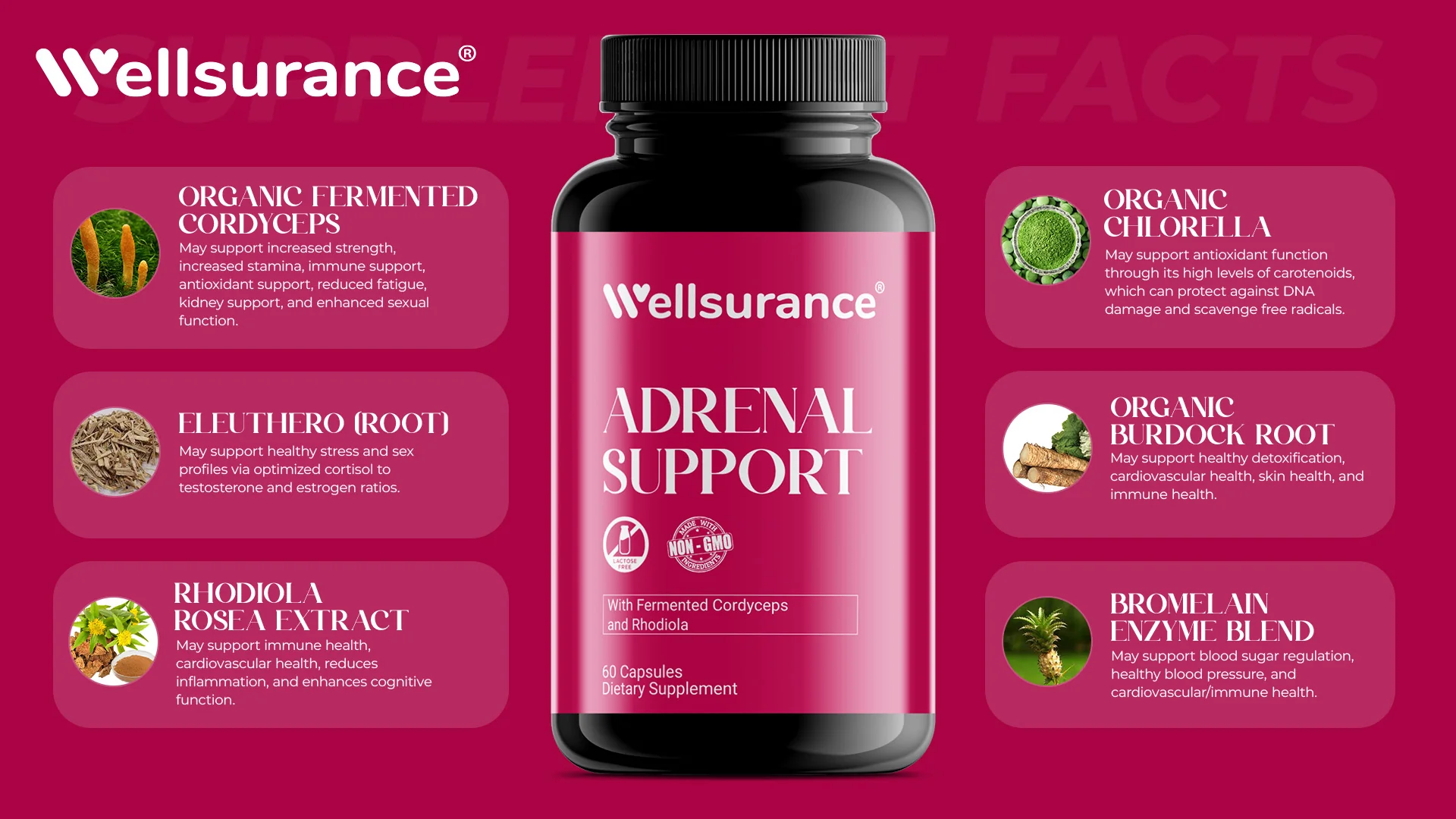 Mushroom Boost Bottle