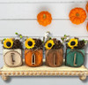 unfinished wood letter skinny Fall for decor flower pots